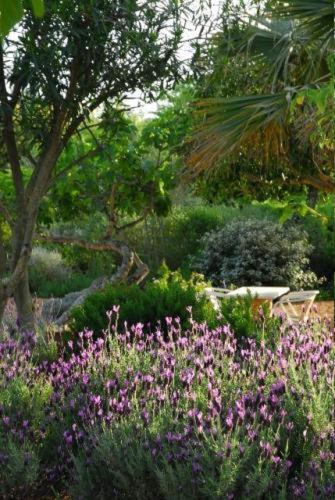 Quinta Da Lua Bed and Breakfast Ταβίρα Εξωτερικό φωτογραφία